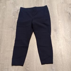 Talbots Navy Skinny Ankle Pants Size 2P